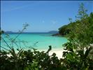 Trunk Bay